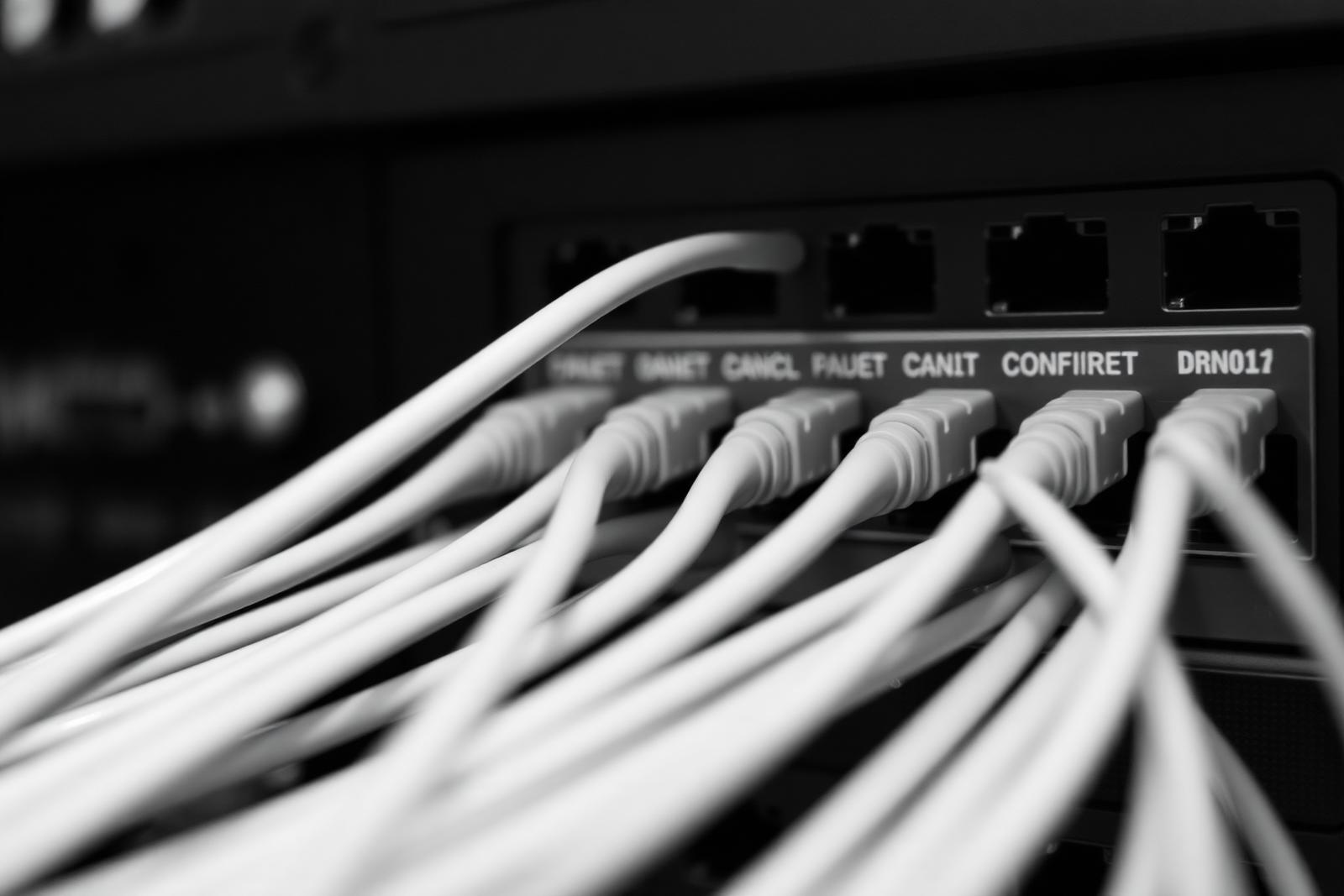 Structured network cabling connected to a switch panel in a server rack